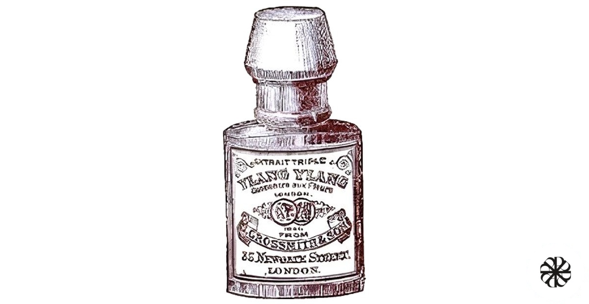 Ylang Ylang Grossmith