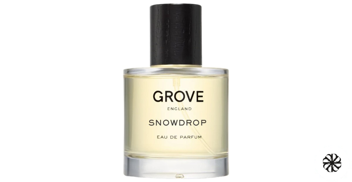 Snowdrop Grove England