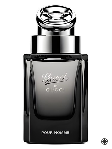 Gucci by Gucci Pour Homme Gucci