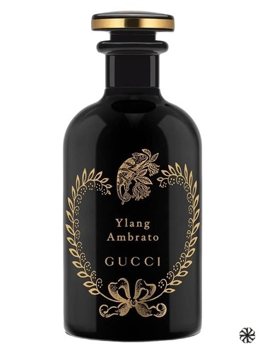 Ylang Ambrato Gucci