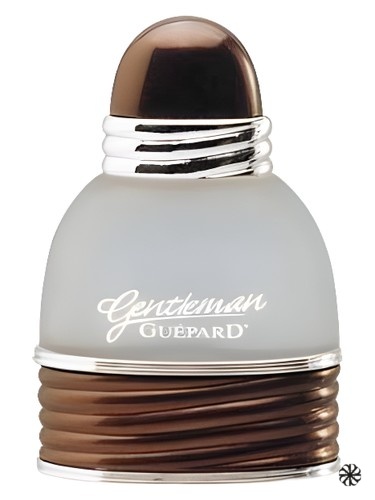 Gentleman Guepard Guepard