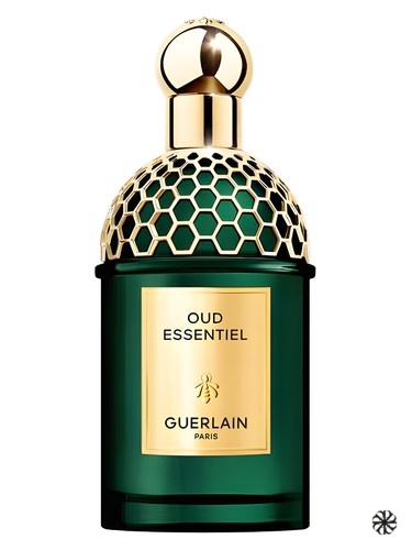 Oud Essentiel Guerlain