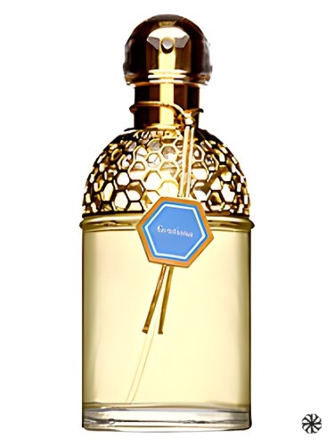 Aqua Allegoria Gentiana Guerlain