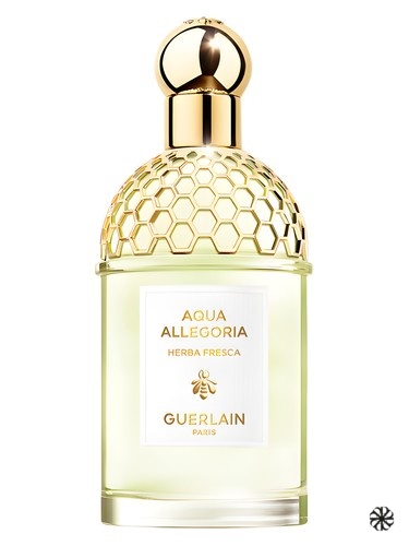 Aqua Allegoria Herba Fresca Guerlain