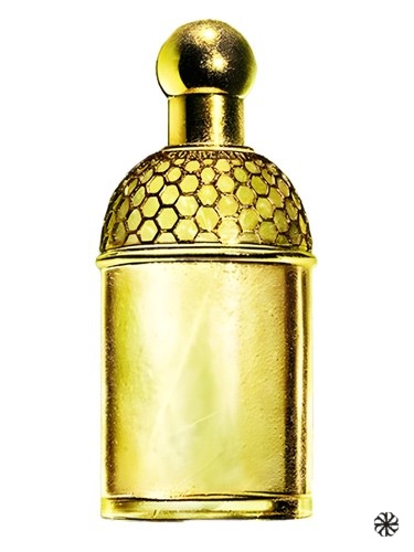 Aqua Allegoria Laurier - Reglisse Guerlain