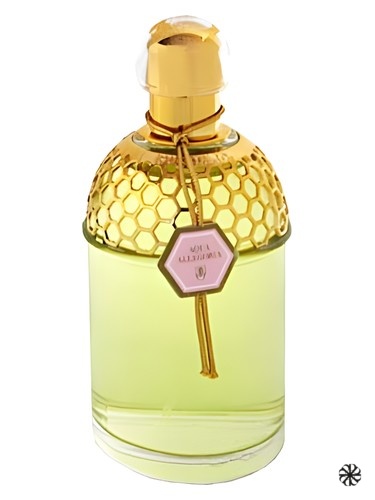 Aqua Allegoria Rosa Magnifica Guerlain