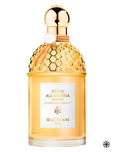 Mandarine Basilic Harvest Guerlain