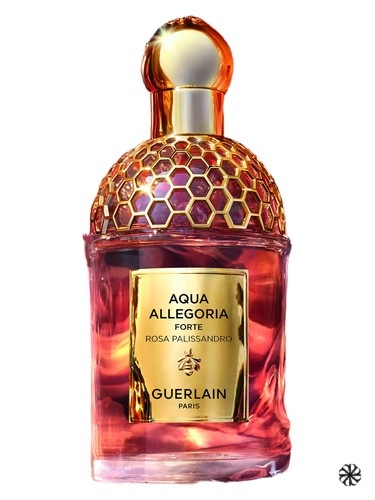 Aqua Allegoria Forte Rosa Palissandro Guerlain