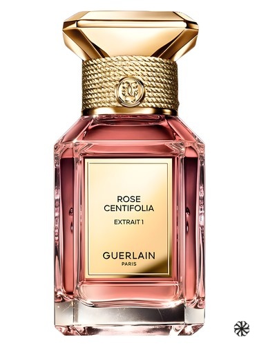 Rose Centifolia Extrait 1 Guerlain