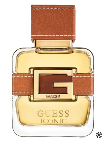 Iconic Homme Guess