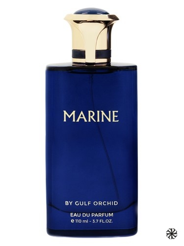 Marine Gulf Orchid