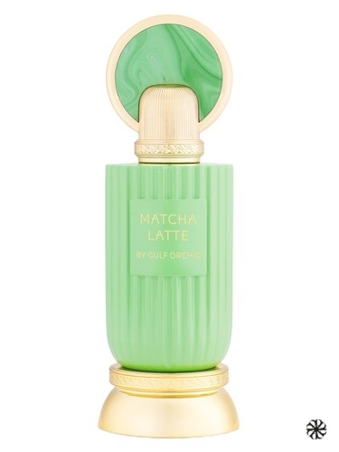 Matcha Latte Gulf Orchid
