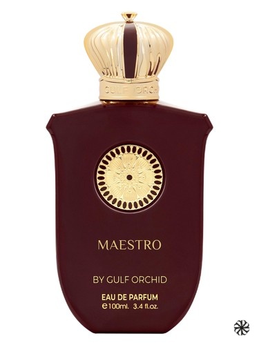 Maestro Gulf Orchid
