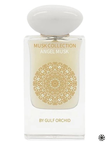 Angel Musk Gulf Orchid