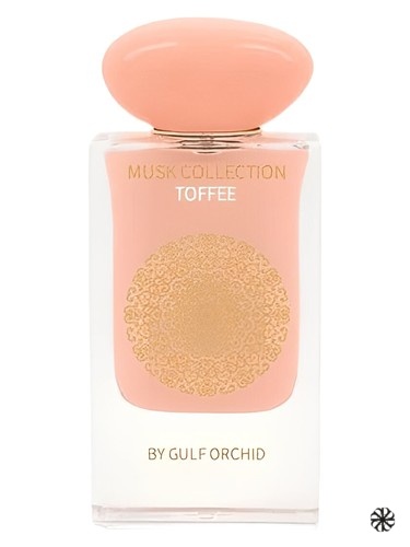 Toffee Gulf Orchid