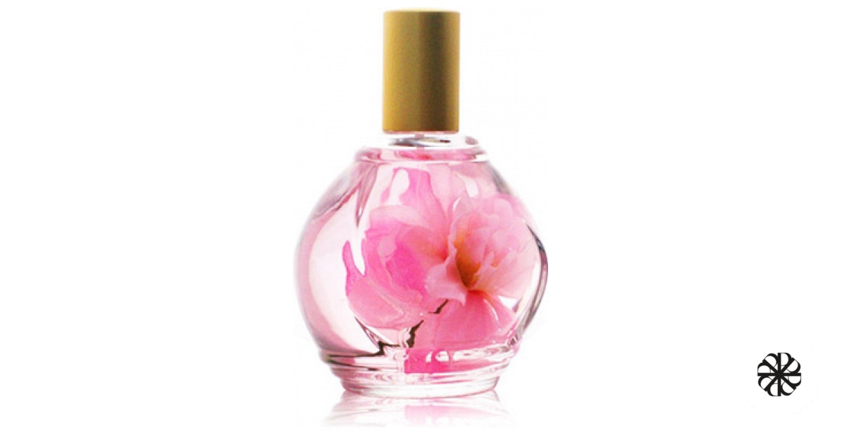 Parfum d'Ambiance Rose Guy Bouchara