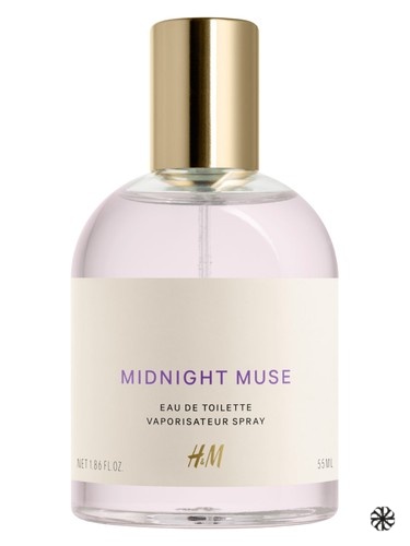 Midnight Muse H&M