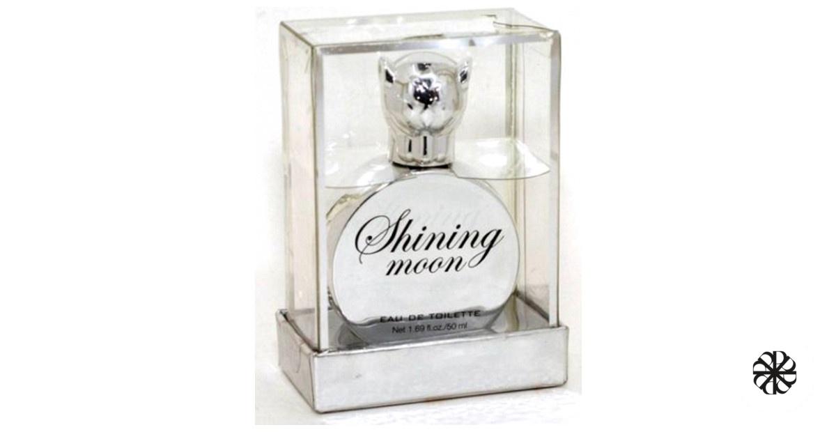Shining Moon H&M