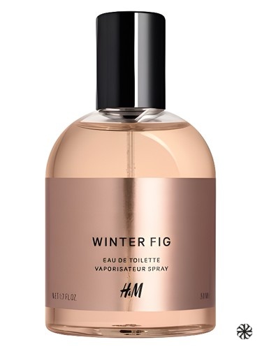 Winter Fig H&M