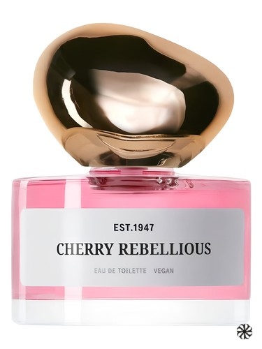 Cherry Rebellious H&M