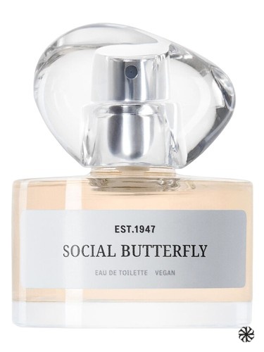 Social Butterfly H&M