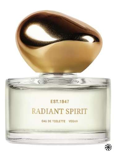 Radiant Spirit H&M