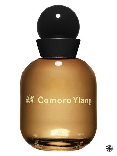 H&M Comoro Ylang H&M