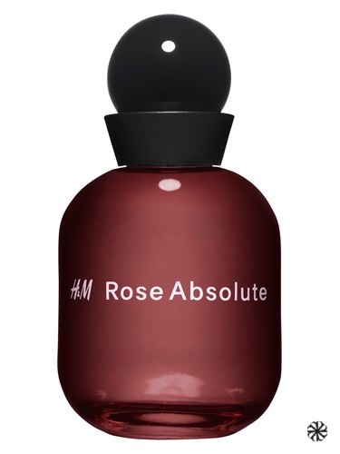 H&M Rose Absolute H&M
