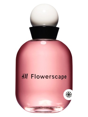 H&M Flowerscape H&M