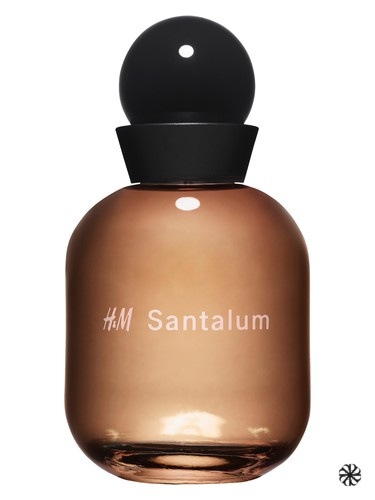 H&M Santalum H&M
