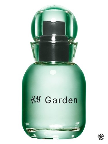 H&M Garden - Sunlit dew H&M