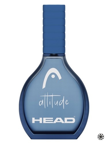 Attitude Head