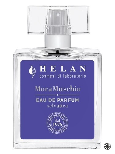 Mora Muschio Helan