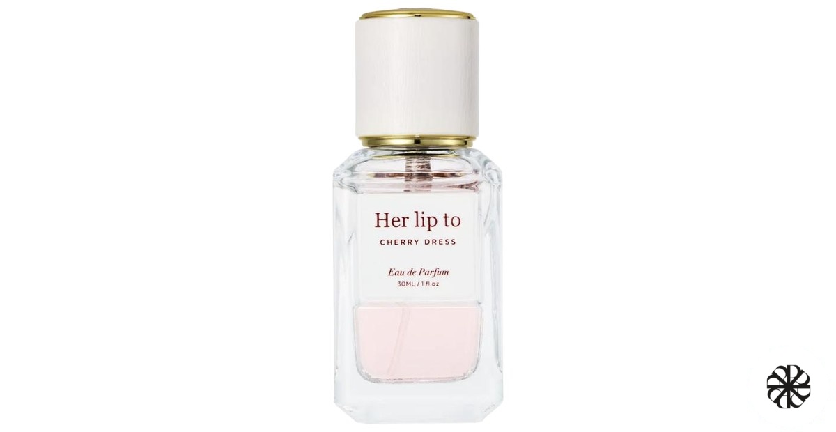 CHERRY DRESS Her Lip To