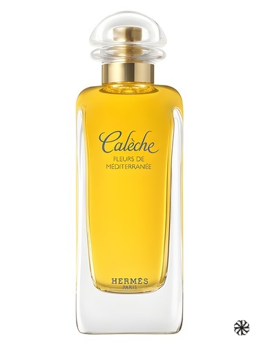 Caleche Fleurs de Mediterranee Hermès