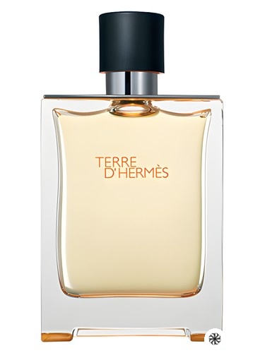 Terre d'Hermès Hermès