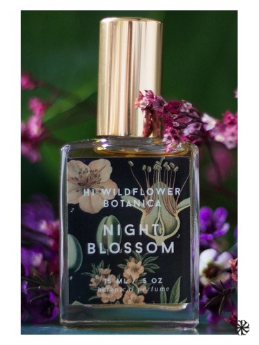 Night Blossom Hi Wildflower Botanica