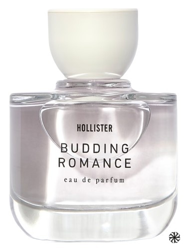 Budding Romance Hollister