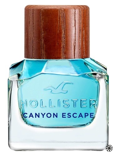 Hollister Canyon Escape Man Hollister
