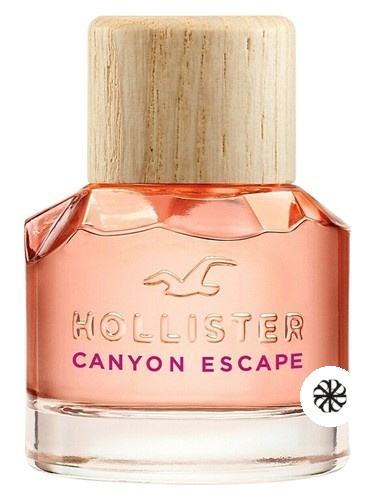 Hollister Canyon Escape Woman Hollister