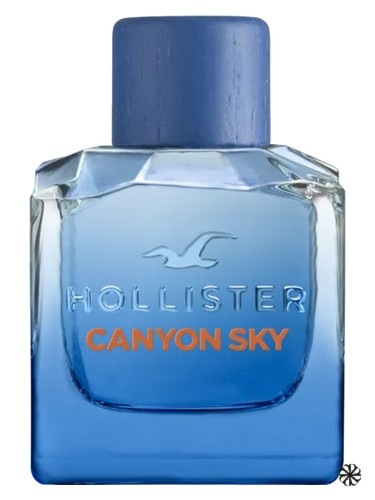 Canyon Sky For Him Hollister