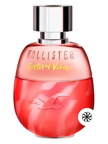 Festival Vibes For Her Hollister