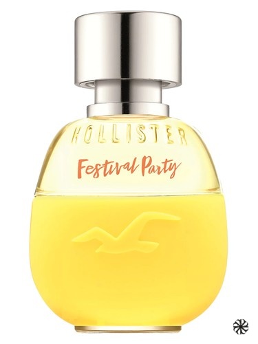 Festival Party Pour Elle Hollister