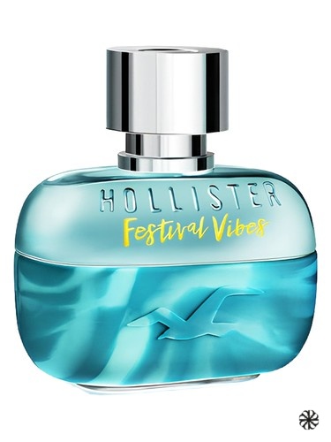 Festival Vibes for Him Hollister