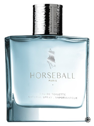 Blue Leather Horseball