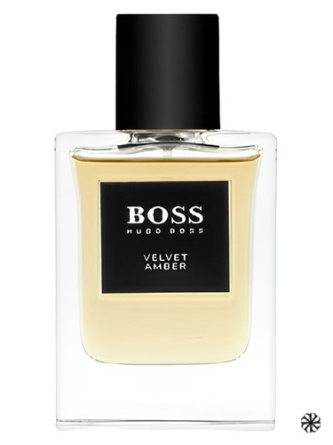BOSS The Collection Velvet & Amber Hugo Boss