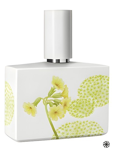 Bosque Limited Porcelain Edition Humiecki & Graef