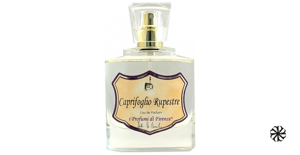 Caprifoglio Rupestre I Profumi di Firenze