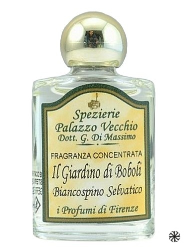 Il Giardino Di Boboli I Profumi di Firenze
