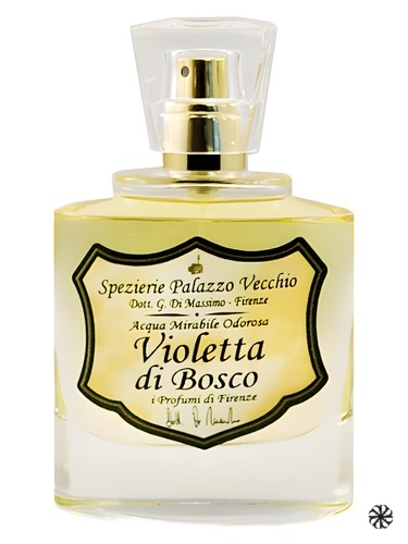 Violetta di Bosco I Profumi di Firenze